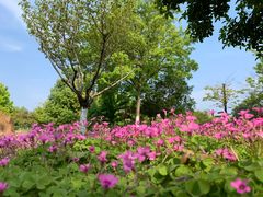 -白塘生态植物园