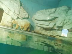 -泉城欧乐堡海洋极地世界