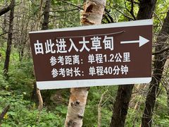 -白草畔自然风景区