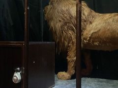 -百谜机械解谜工场