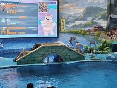 -海合安成都极地海洋公园