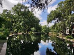 -上海共青森林公园