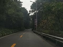 -铁山坪森林公园