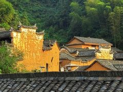 -杨家堂村