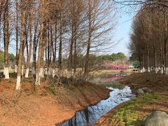 -阳澄湖半岛旅游度假区