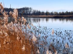 -野鸭湖国家湿地公园