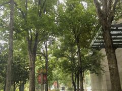 -河南省黄河迎宾馆