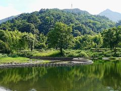 -泽雅景区