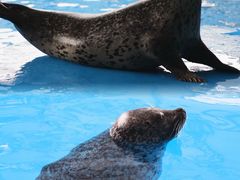 -长沙湘江欢乐雪域