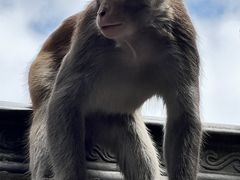 -黔灵山公园
