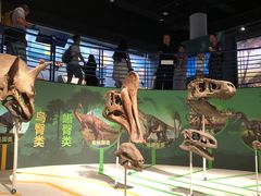 -国家自然博物馆