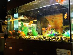 -大家乐(深圳中信店)