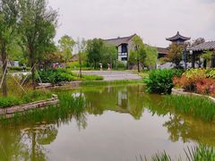 -海珠湖公园