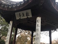 -司徒庙