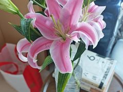 -上海永慈康复医院