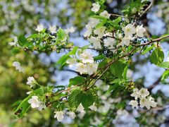 -西北湖绿化广场