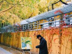 -三里屯东五街银杏大道