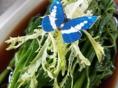 -云里小坐·小院里·团建·宴请·下午茶(三圣乡店)