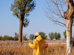 -汉长安城未央宫国家考古遗址公园