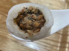 -海丝金凤(金鱼店)