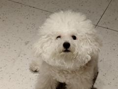 -MOI COFFEE(江山汇悦山府店)