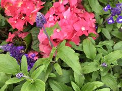 -龙环葡韵住宅式博物馆