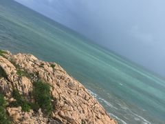 -广东惠东海龟国家级自然保护区