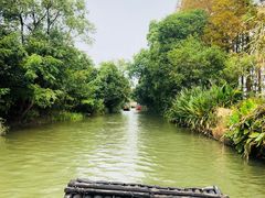 -上海长兴岛郊野公园