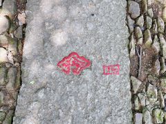 -西湖风景区十里琅珰-五云山