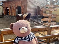 -HERRE·FARM 赫尔露营农场·团建聚会包场