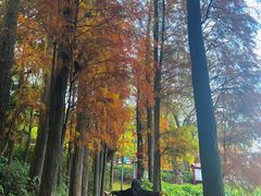 -广州莲花山旅游区