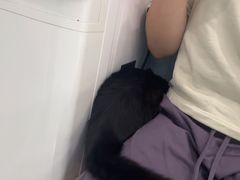 -纳吉亚猫专科动物诊疗中心(蒋宅口分院)