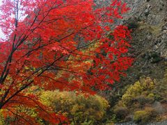 -叠溪松坪沟景区
