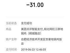 -武氏皖北网红三胖地锅鸡(桐城路店)
