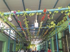 -马白开来特色羊排揪片子  (总店)