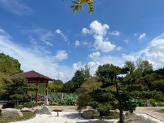 -嘉定紫藤园