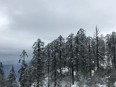 -瓦屋山景区