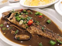 -蝶苑(吴江路店)