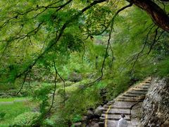 -莫干山风景区