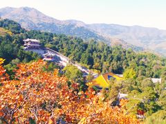 -香山公园