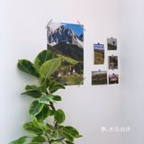 海边走起！土豆咖啡来了海霞新村