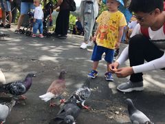 -西霞口神雕山野生动物世界