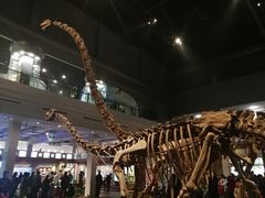 -自贡恐龙博物馆