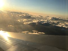 -全日本空输株式会社(上海办事处)