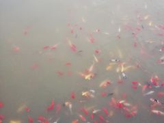 -济南马套将军山