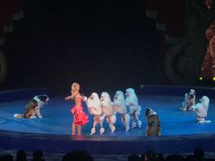 -珠海横琴长隆《卡卡虎奇遇记》