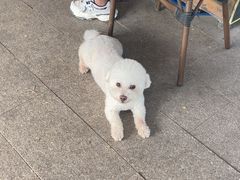 -酷鱼垂钓CLUB(朝阳区博大路店 )