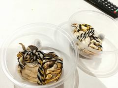 -AEON永旺(东方宝泰店)