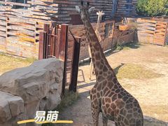 -太原动物园
