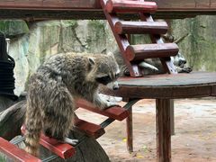 -杭州野生动物世界